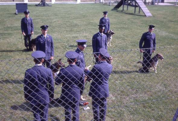 Sembach Airman Phil Gotterbarm graduates from K9 school.  Circa 1967